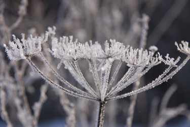 Similar image 274259