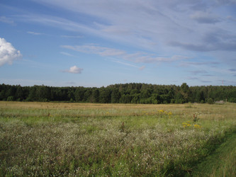 Similar image 274267