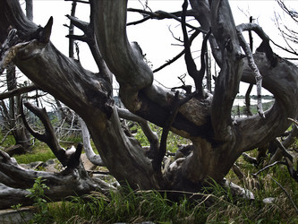 Similar image 274274