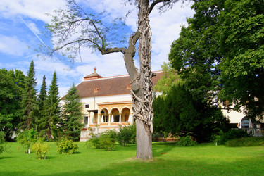 Similar image 274294