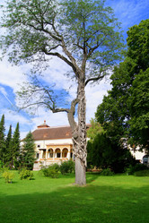 Similar image 274296