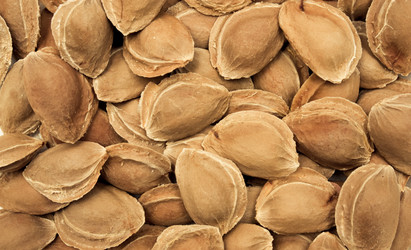 Similar image 274298