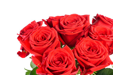 Similar image 274321