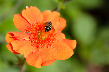 Similar image 274340