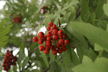 Similar image 274350