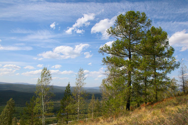 Similar image 274359