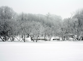 Similar image 274378