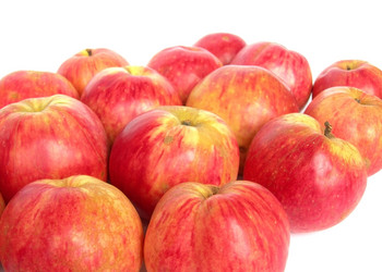 Similar image 274387