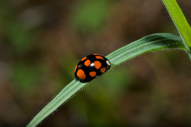 Similar image 274399