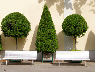 Similar image 274404