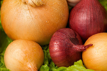 Similar image 274416