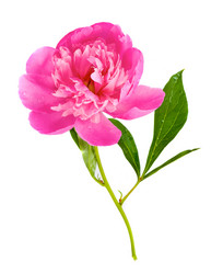 Similar image 274433