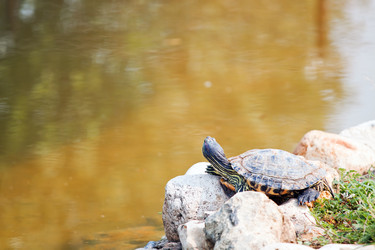 Similar image 274481