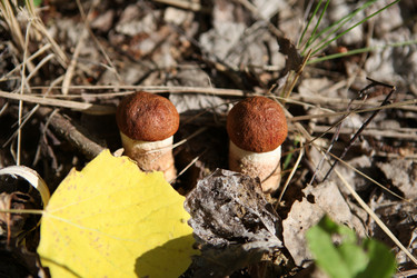 Similar image 274486