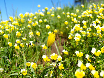 Similar image 274489