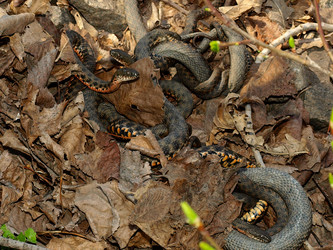 Similar image 274496