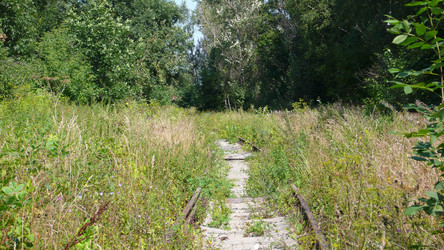 Similar image 274499