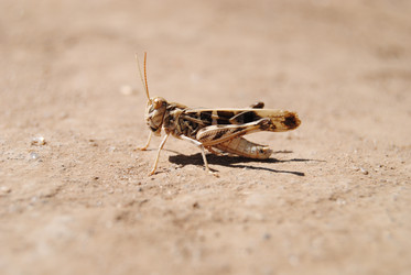 Similar image 274502