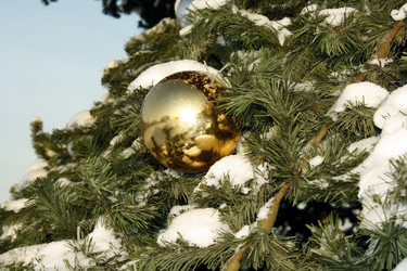 Similar image 274507