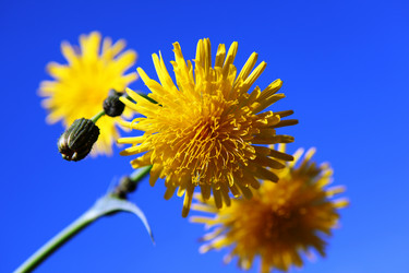 Similar image 274512