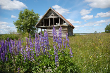 Similar image 274525