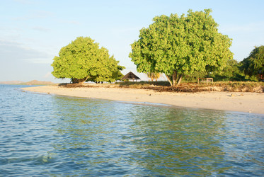 Similar image 274529