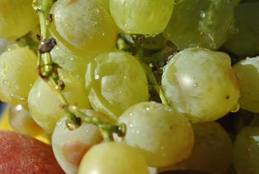 Similar image 274536