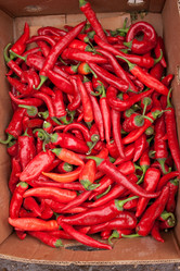 Similar image 274542