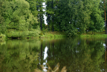 Similar image 274545