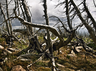 Similar image 274548