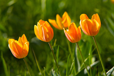 Similar image 274557