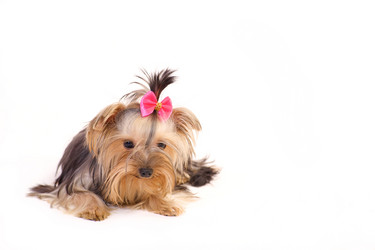 Similar image 274611