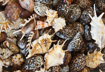 Similar image 274698