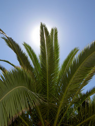 Similar image 274714