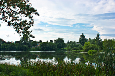 Similar image 274717