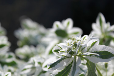 Similar image 274720