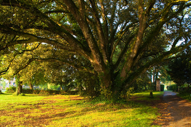 Similar image 274726