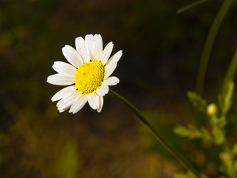 Similar image 274781