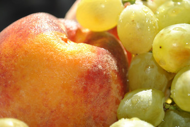 Similar image 274782