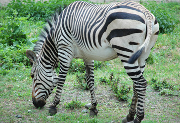 Similar image 274844