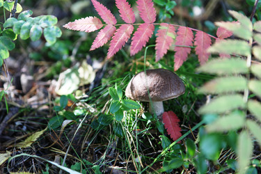 Similar image 274848