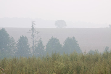 Similar image 274867