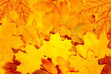 Similar image 274888