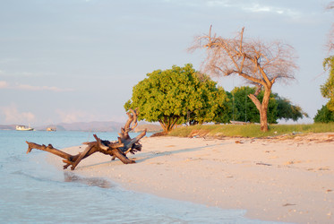 Similar image 274902