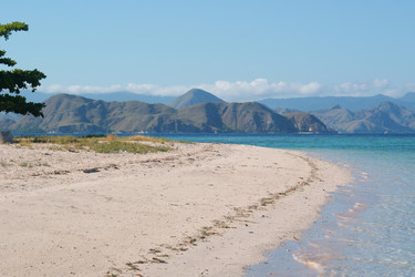 Similar image 274903