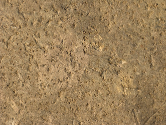 Similar image 274908