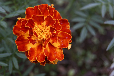 Similar image 274943