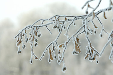 Similar image 275020