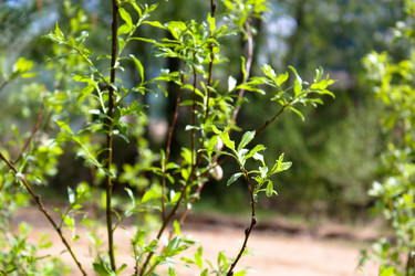 Similar image 275031