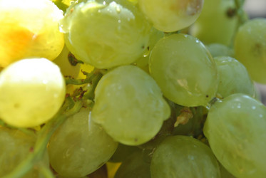 Similar image 275040